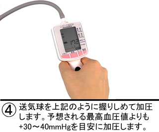 �蓮����F�������܂��B