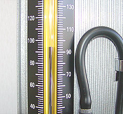 ���⌌���v�@�Œጌ��