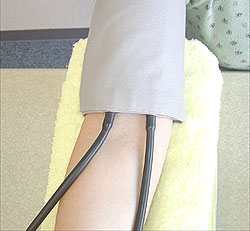 ���⌌���v�@�r��