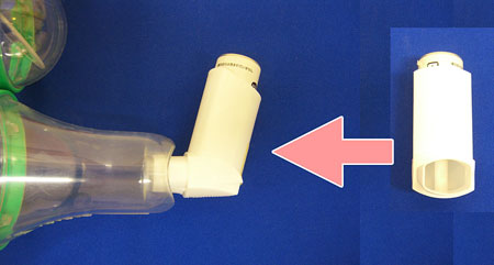 ���l�c�h�F�t���^�C�h